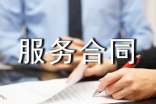 項(xiàng)目技術(shù)服務(wù)合同范本