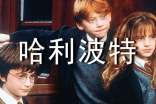 哈利波特讀后感(合集14篇)