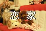 關(guān)于戀家作文