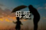 【精華】溫暖的母愛作文匯總八篇