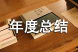 個人年度總結述職報告