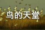 鳥的天堂教學(xué)設(shè)計(jì)優(yōu)秀教案范文