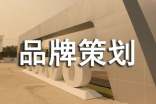 產(chǎn)品品牌策劃方案