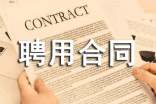 2017年聘用合同范本
