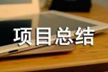 項目總結報告