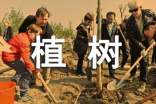 植樹活動簡報