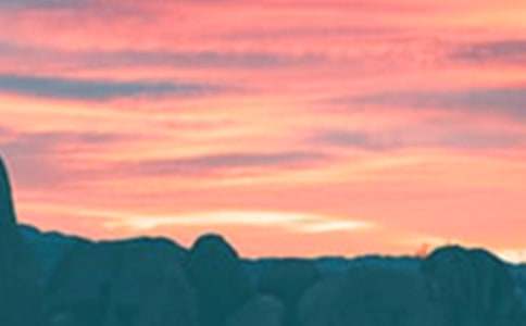 ���꼉�����茑���� ����İ���