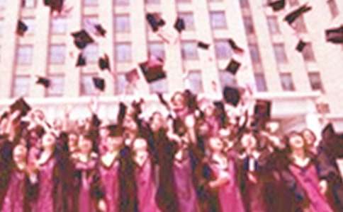 �����A�����I(y��)�Č�(sh��)��(x��)���8ƪ