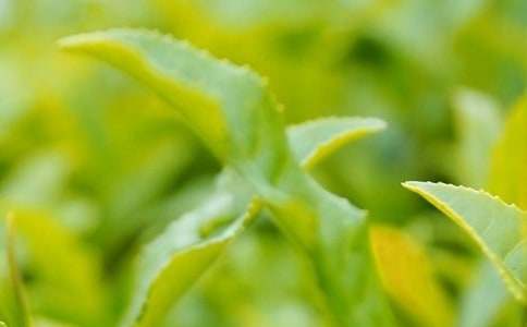 ���~�V���Z