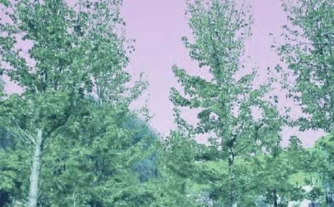 ���L�������Y(ji��)