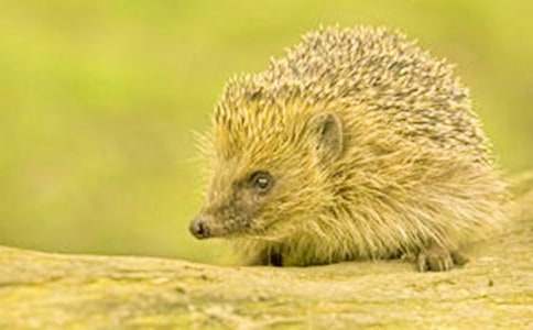 ���һ�ҵ��а��^(q��)���Α�̰�