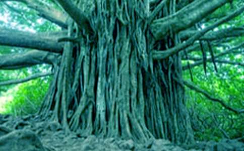 ��������С�W(xu��)���ģ����x34ƪ��