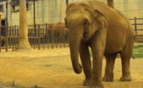 ����Z(y��)�Դ����С�ý̰�7ƪ