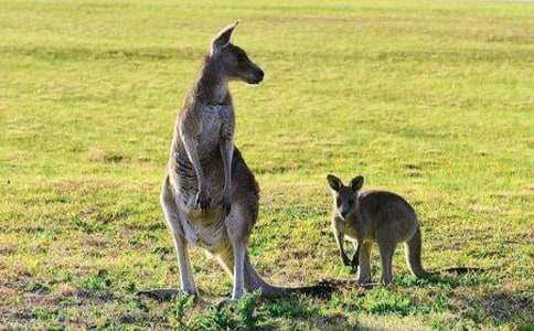 �����x��С�����а�̰�