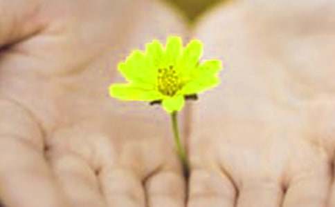 �P(gu��n)��Ӣ�ĵ�Ǹ����ƪ