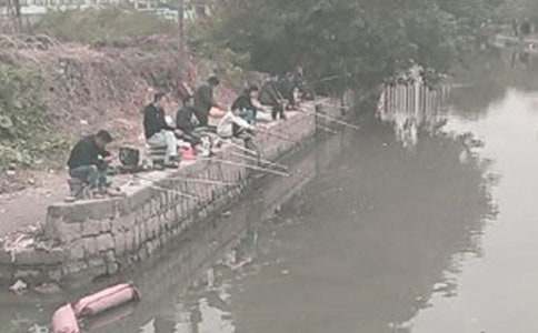 小貓釣魚續(xù)寫作文