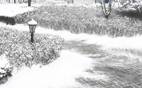 冬季疾病預防教案模板(通用14篇)