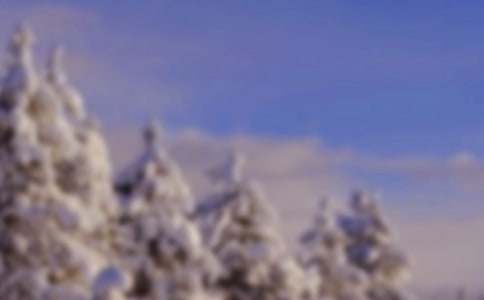 冬天景色作文隨筆