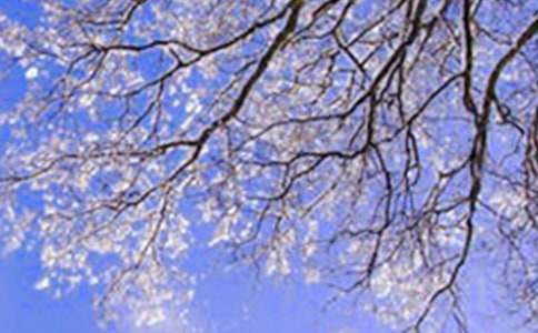 小班冬天來了教案