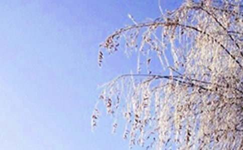 ���x�����L������6ƪ