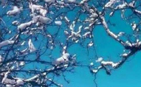 ���쟟�_�ĺ������~