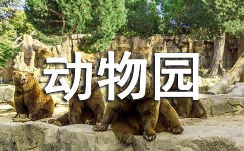 動(dòng)物園運(yùn)動(dòng)會作文
