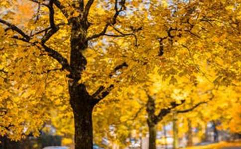 ʯ���L(f��ng)���^(q��)��(d��o)���~