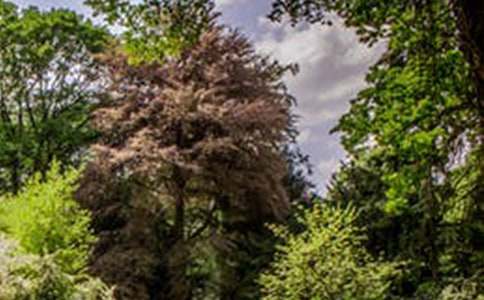 �����]���L(f��ng)��Ԓ�}�����\��5ƪ