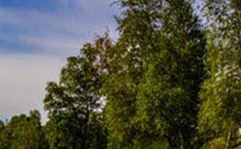 [�؂�]��(y��u)���L(f��ng)��������