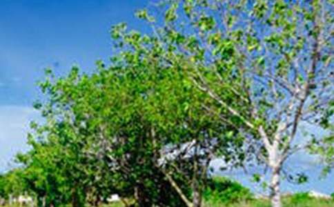 ��߅�L(f��ng)�����ķ�����15ƪ��