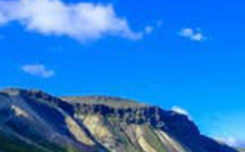 描寫(xiě)公園風(fēng)景的作文