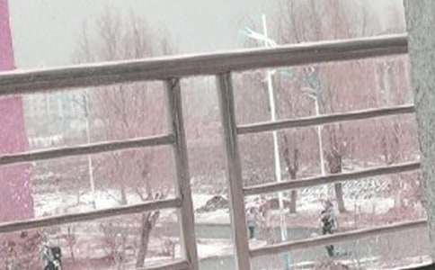 突發(fā)暴風(fēng)雪應(yīng)急處置工作方案