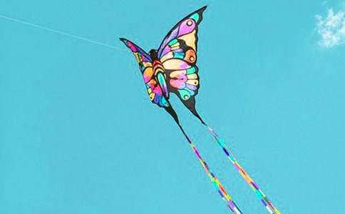 放風(fēng)箏_隨筆作文