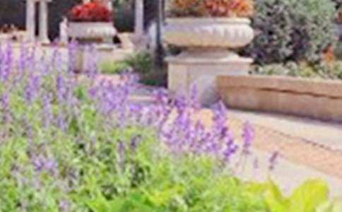 �������@�Č�(d��o)���~