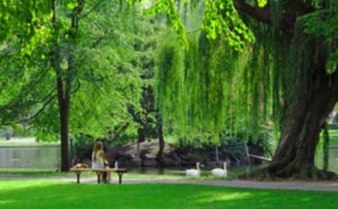 ǭ�`���@��(d��o)���~