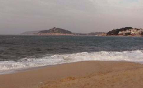 鼓浪嶼導游詞集錦15篇