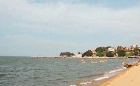 廈門鼓浪嶼導游詞8篇