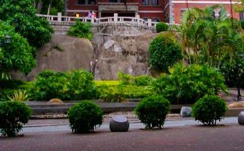 福建廈門鼓浪嶼導(dǎo)游詞8篇