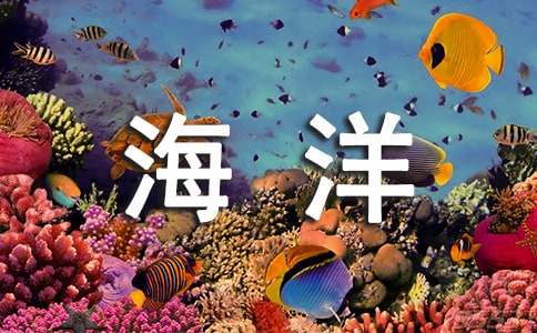 《海洋的秘密》讀后感