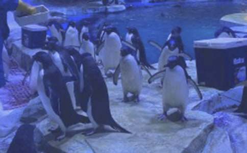 ��ۺ��󹫈@�����~4ƪ