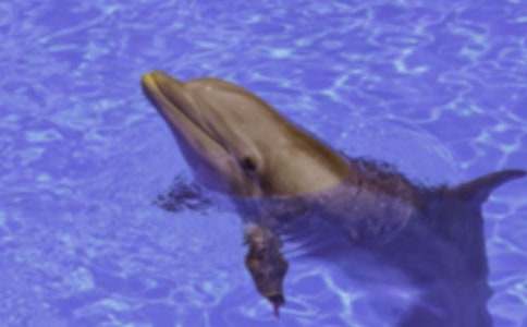 ���ϼ����x���{(l��n)ɫ�ĺ����u���и�