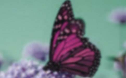 ��ɫ�����m�Ļ��Z�������L��(x��)��-�r���Y�x