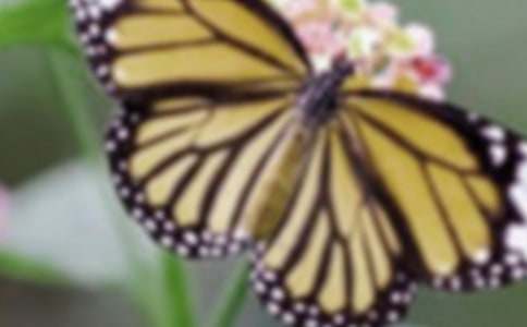 �����m�Ļ��Z������f-�r���Y�x