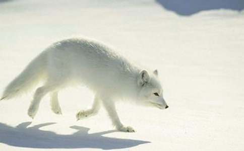 �P(gu��n)�ڡ���؂�͞��f���̰����ĺϼ�10ƪ