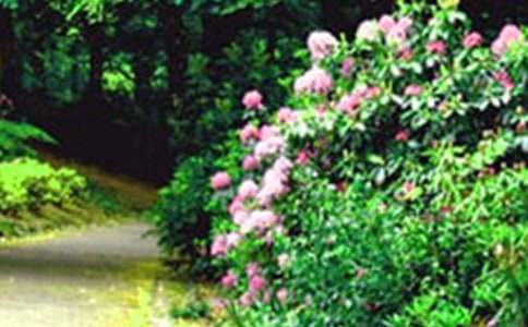 ���˵Ļ��@��(y��u)��̰�