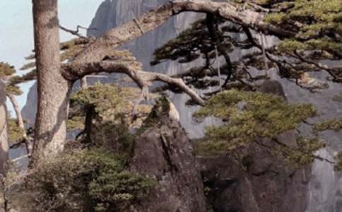 �Sɽ�����~(��(y��u)��)