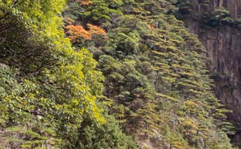 江陰黃山湖導(dǎo)游詞5篇