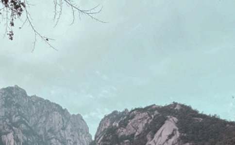 �Sɽ�Č����~(�ϼ�15ƪ)