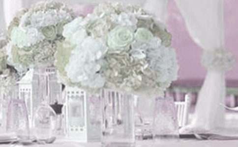 ���ɻ�Y���x�~������15ƪ��