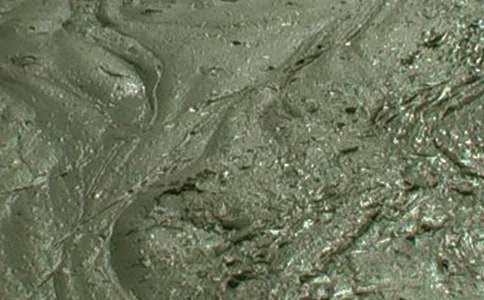 ���������I(y��)����(x��)���